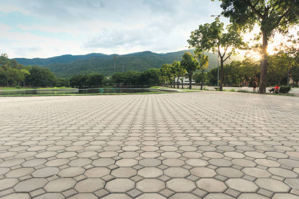 Best Custom Driveway Pavers  in Lepanto, AR