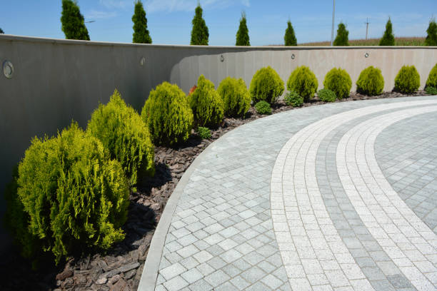 Reasons to Select Us for Your Driveway Paving Requirements in Lepanto, AR